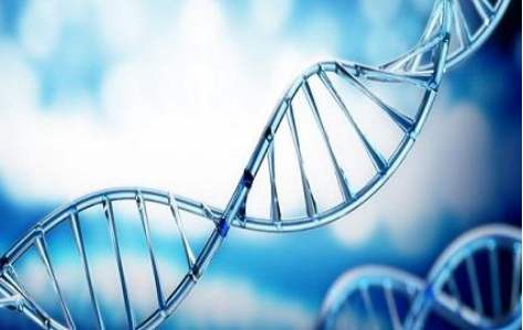 百傲2019再獲三證，進入DNA免提時代